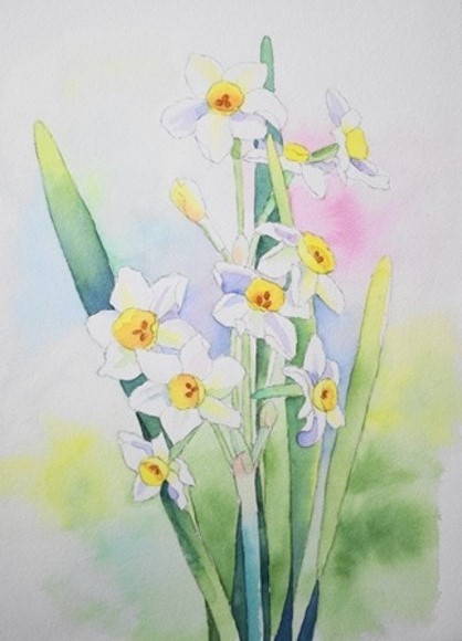 616＊水仙 水彩画 絵画 原画 透明水彩画