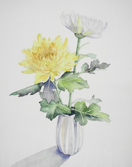 菊の花を描く: ごくさんの透明水彩画