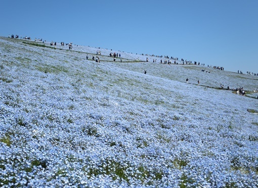 IMG_0089.JPG