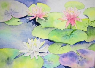 睡蓮: ごくさんの透明水彩画