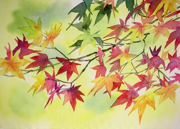 秋彩 色づく紅葉 ごくさんの透明水彩画