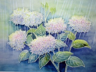 雨に咲く紫陽花: ごくさんの透明水彩画