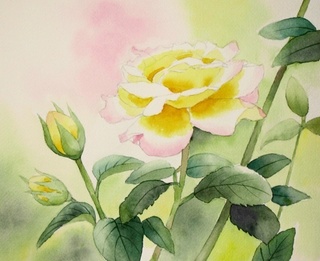 Y邸宅の薔薇: ごくさんの透明水彩画